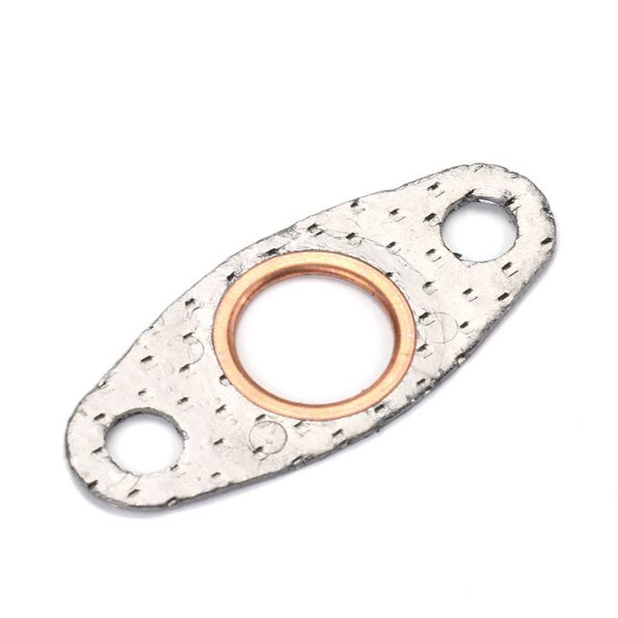 Secondary Air Pump Check Valve Gasket